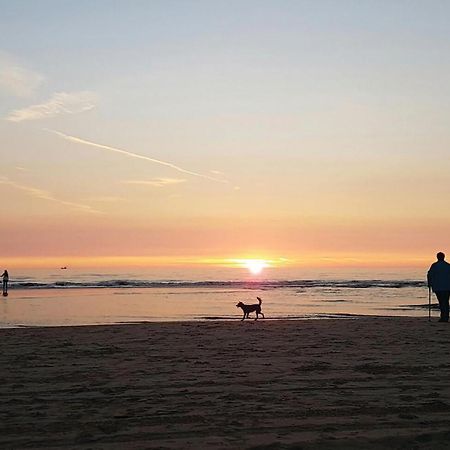 2 Bedroom Pet Friendly Home In Egmond Aan Zee Exterior foto