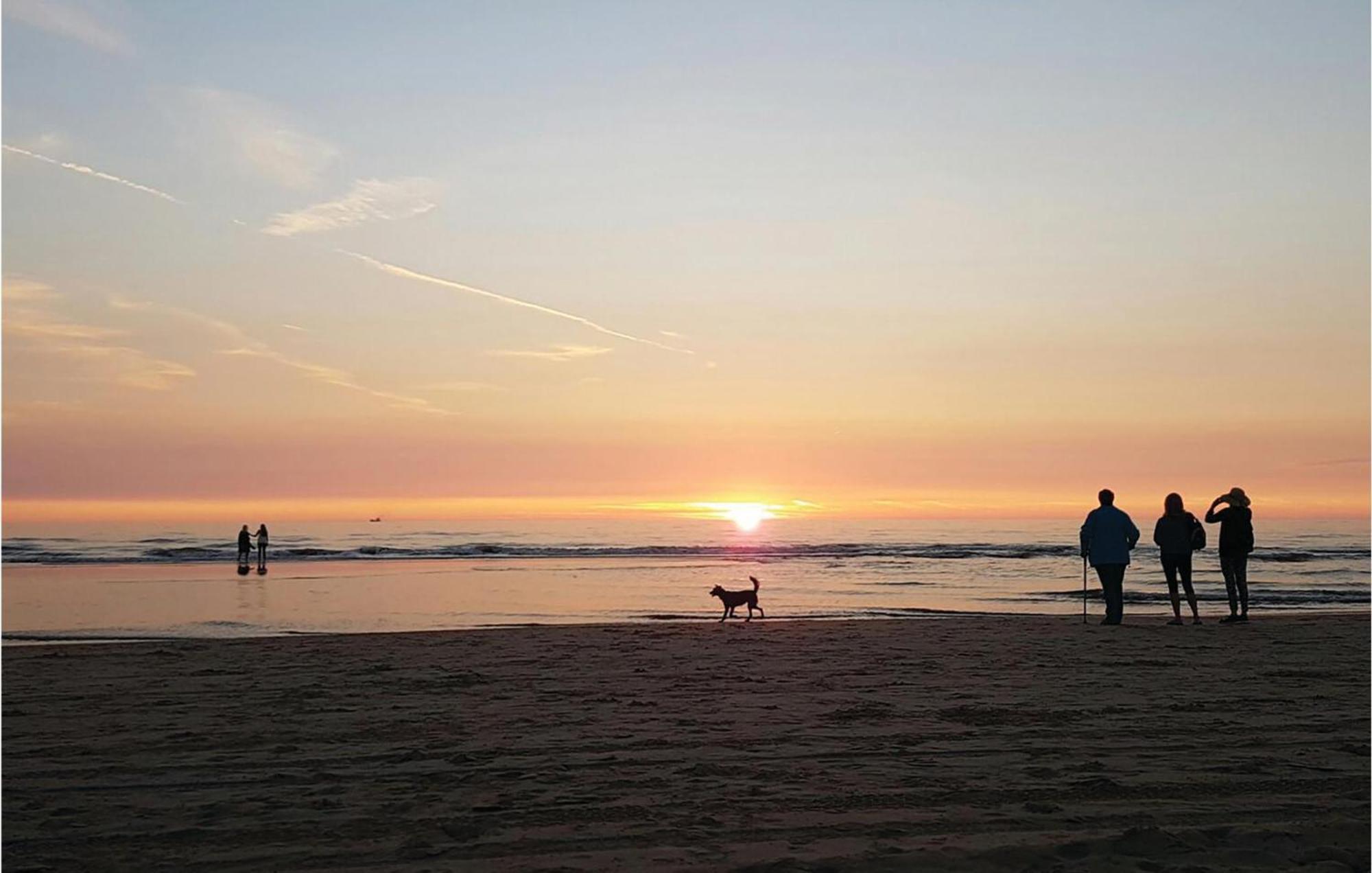 2 Bedroom Pet Friendly Home In Egmond Aan Zee Exterior foto